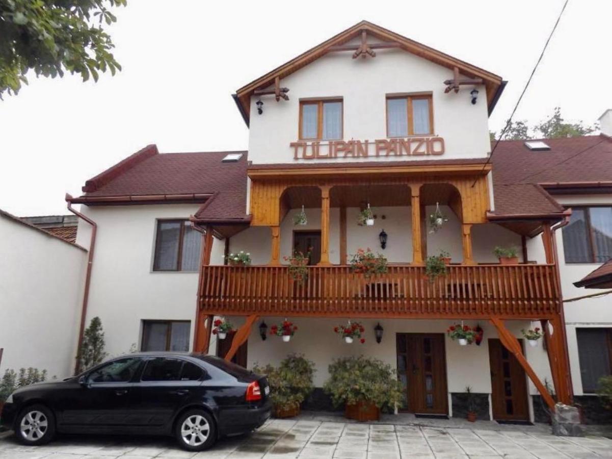 Bed and Breakfast Tulipan Panzio Sfântu-Gheorghe Exterior foto